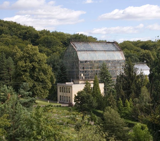 Lviv University Botanical Garden, Ukraine